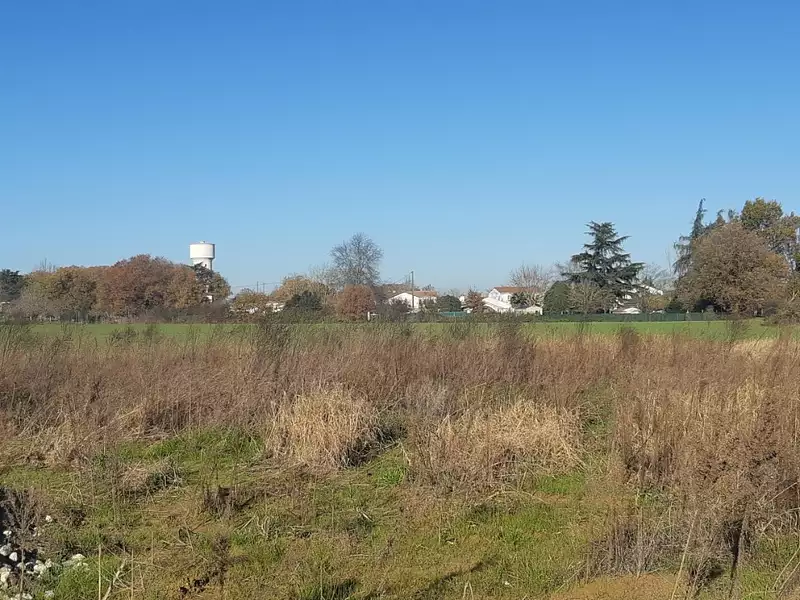 Maison neuve, 166 m² - Merville (31330)