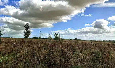 Terrain à bâtir, 454 m²