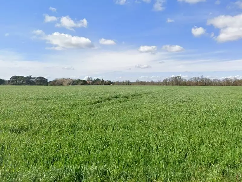 Maison neuve, 110 m² - Longages (31410)