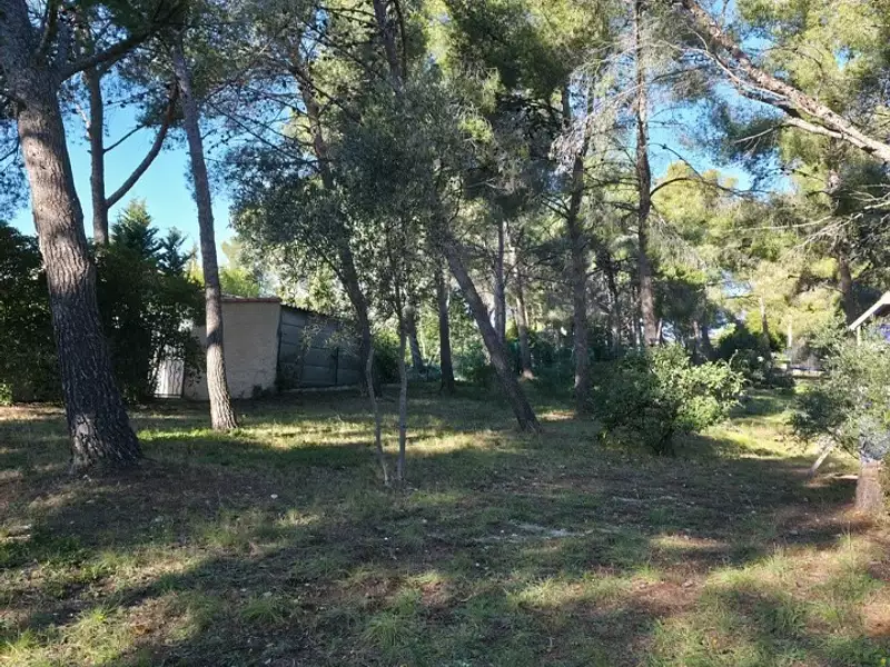 Terrain à bâtir, 688 m² - Sausset-les-Pins (13960)