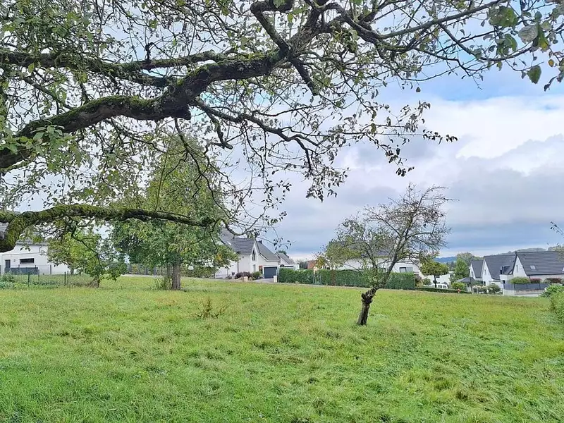 Maison neuve, 179 m² - Muespach-le-Haut (68640)