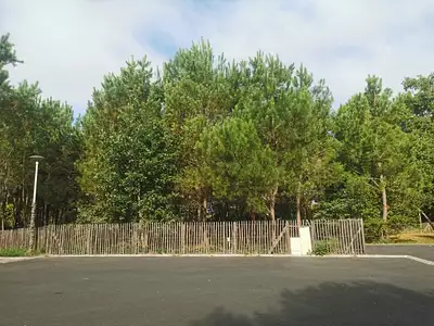 Maison neuve, 85 m²