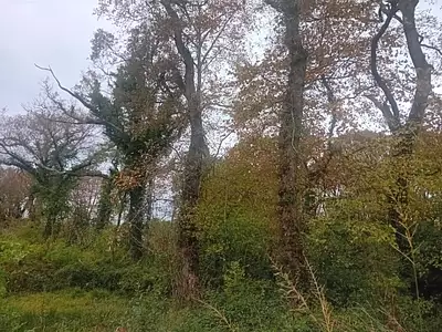 Terrain à bâtir, 960 m²