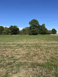 Maison neuve, 90 m²