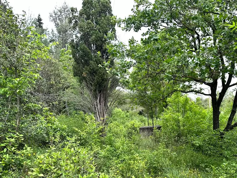 Terrain à bâtir, 660 m² - Eguilles (13510)