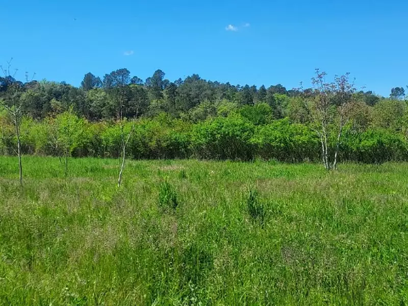 Terrain à bâtir, 1 000 m² - Tourves (83170)