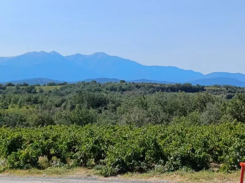 Maison neuve, 100 m² - Tresserre (66300)