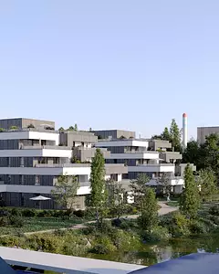 L'Ilot d'O