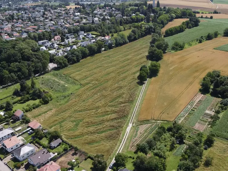 Terrain à bâtir, 441 m² - Morschwiller-le-Bas (68790)