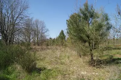 Terrain à bâtir, 900 m²