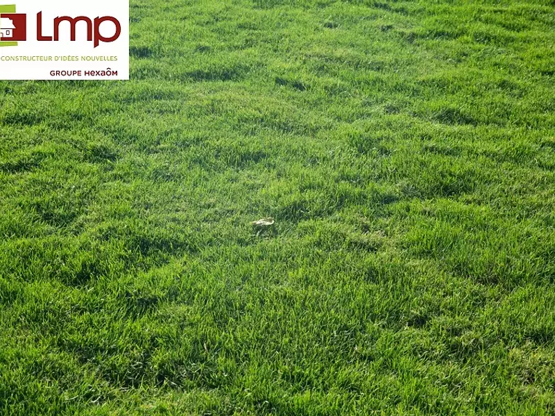 Terrain à bâtir, 260 m² - Beauvoir-sur-Mer (85230)