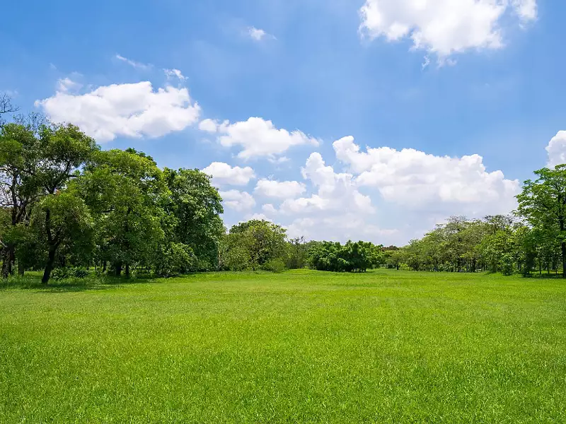 Terrain à bâtir, 430 m² - Saint-André-de-Cubzac (33240)