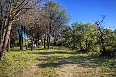 Terrain à bâtir, 1 413 m²