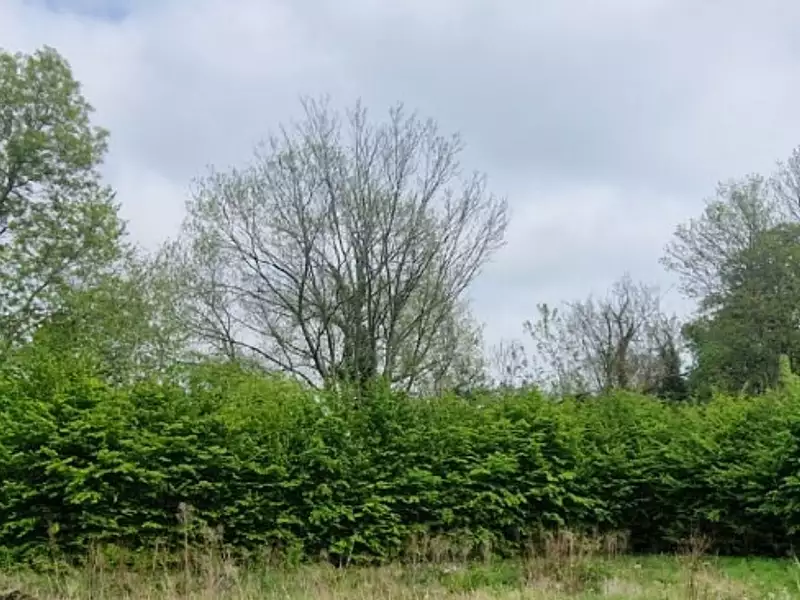 Terrain à bâtir, 707 m² - Tourgéville (14800)