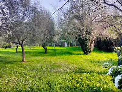 Maison neuve, 90 m²