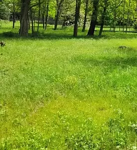 Terrain à bâtir, 1 000 m²