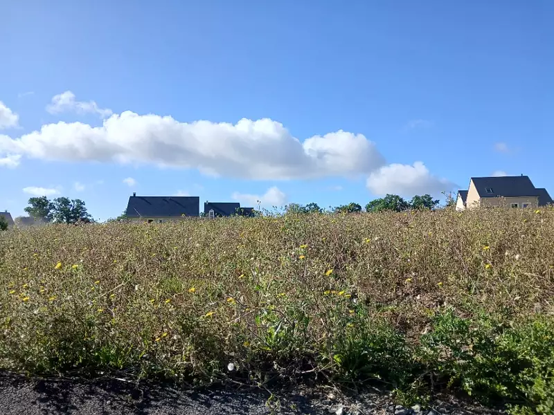 Terrain à bâtir, 545 m² - Pont-l'Evêque (14130)