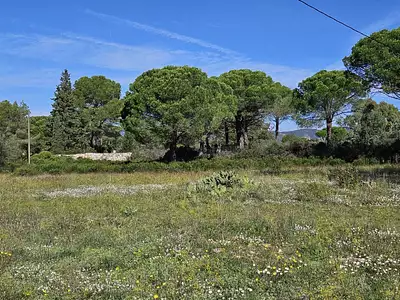 Maison neuve, 110 m²