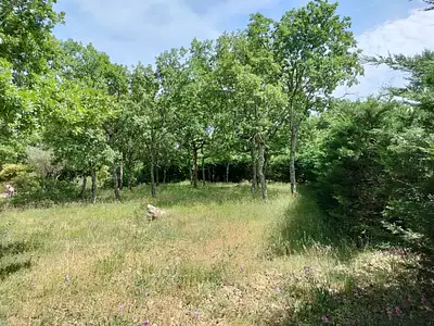 Maison neuve, 106 m²