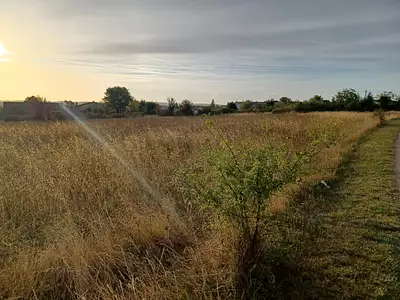 Terrain à bâtir, 920 m²