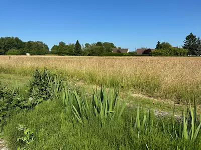 Maison neuve, 100 m²