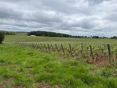 Maison neuve, 120 m²