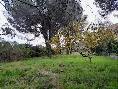 Maison neuve, 65 m²