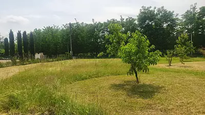 Terrain à bâtir, 1 101 m²