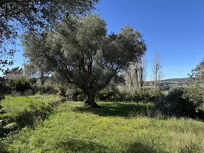Terrain à bâtir, 615 m²