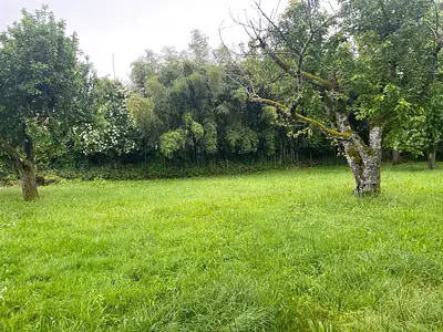 Terrain à bâtir, 1 252 m²