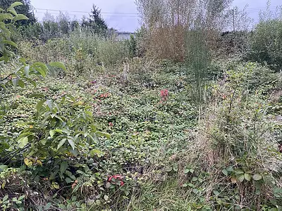 Terrain à bâtir, 1 000 m²