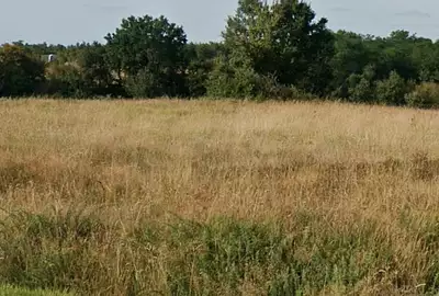 Terrain à bâtir, 446 m²