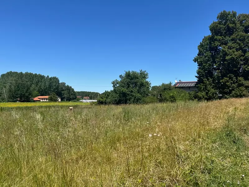 Maison neuve, 104 m² - Saint-Didier-de-Formans (01600)