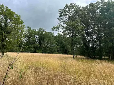 Maison neuve, 80 m²