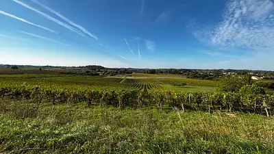 Terrain à bâtir, 800 m²