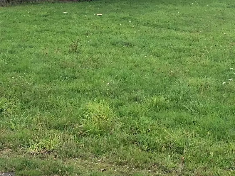 Terrain à bâtir, 325 m² - Bouguenais (44340)