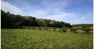 Maison neuve, 75 m²