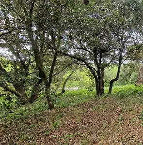 Maison neuve, 95 m²