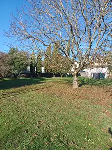 Maison neuve, 82 m²