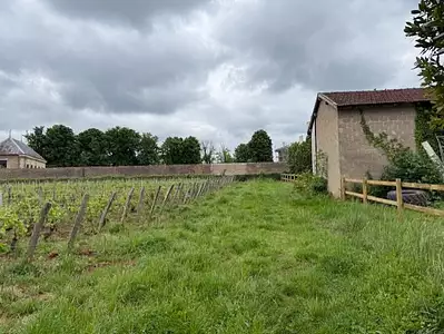 Terrain à bâtir, 529 m²