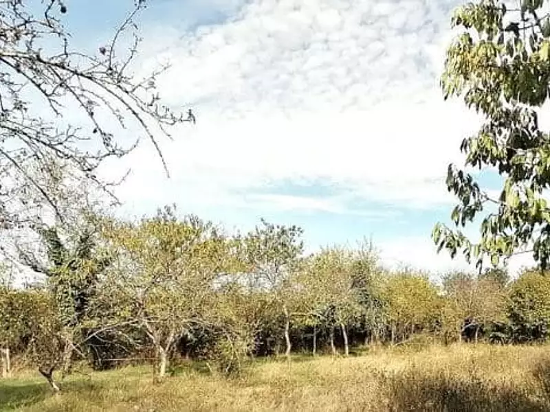 Terrain à bâtir, 985 m² - Béruges (86190)