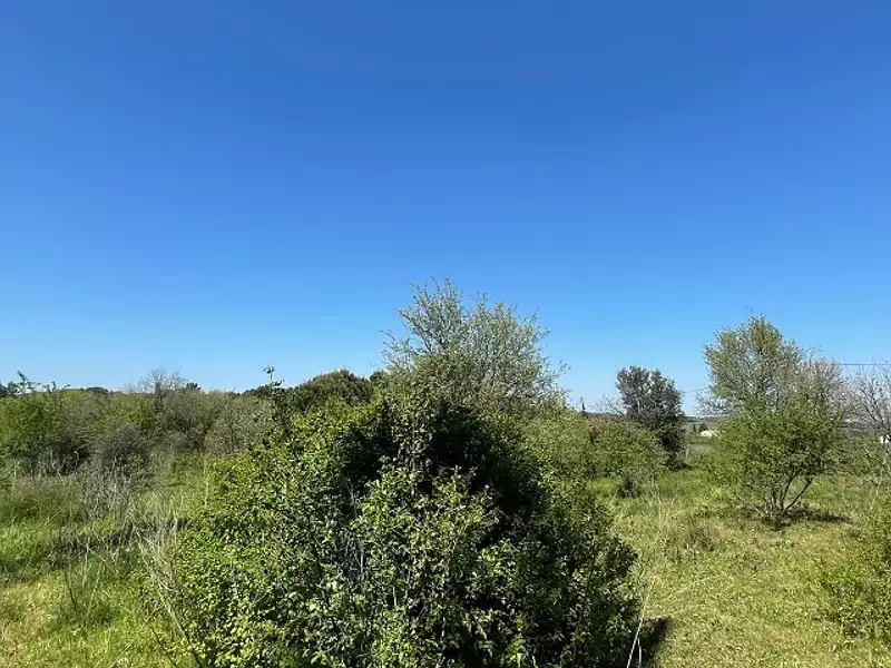 Terrain à bâtir, 223 m² - Montpezat (30730)