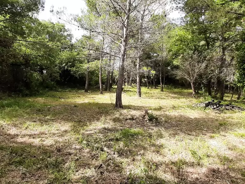 Terrain à bâtir, 934 m² - Flayosc (83780)