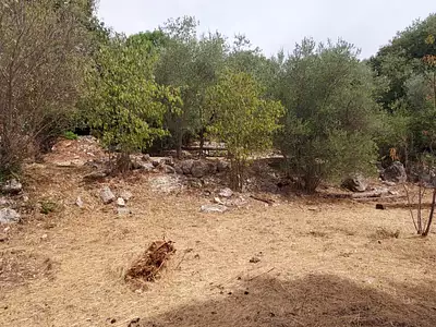 Terrain à bâtir, 970 m²