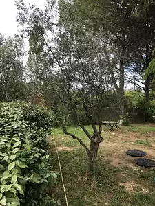 Maison neuve, 120 m²