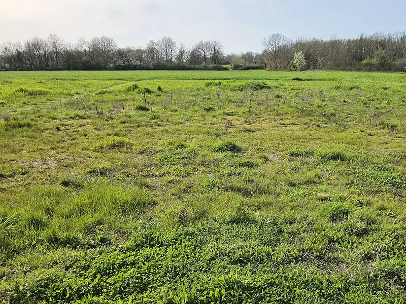 Maison neuve, 103 m² - Perrusson (37600)