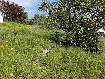 Terrain à bâtir, 317 m²
