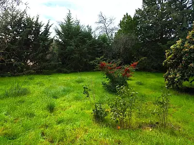 Maison neuve, 87 m²