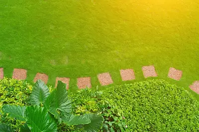 Maison neuve, 100 m²