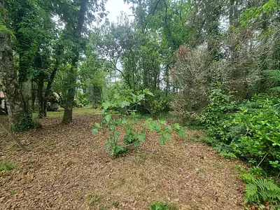 Terrain à bâtir, 1 170 m²